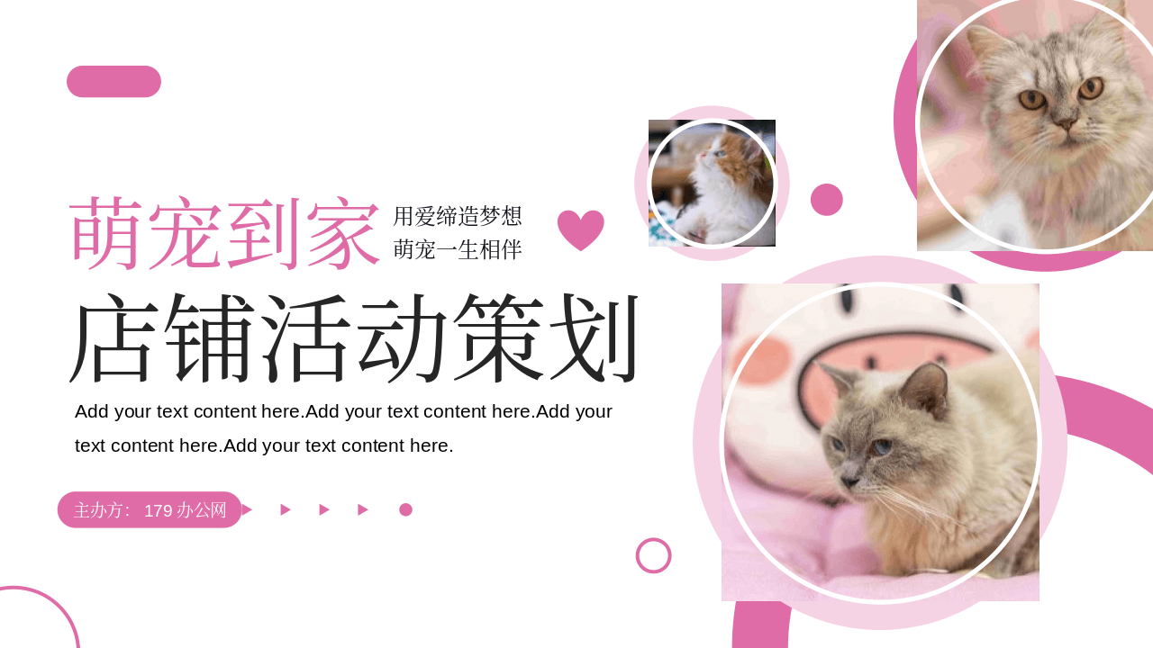 粉色小猫背景的萌宠到家宠物店店铺活动策划PPT模板