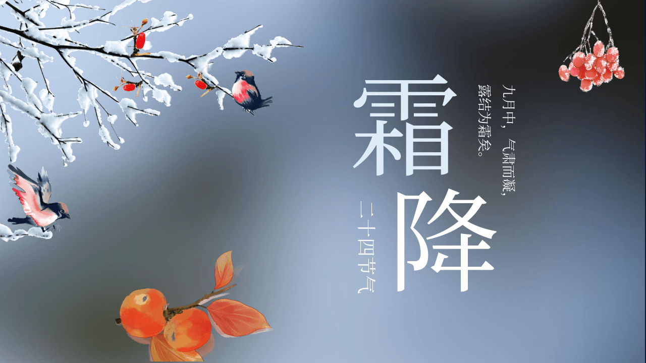 树枝小鸟柿子元素霜降节气PPT模板