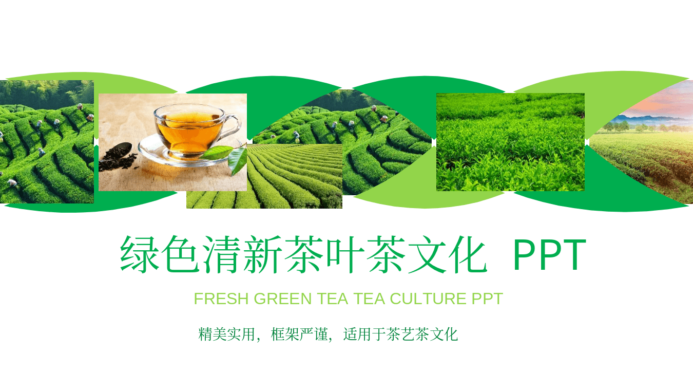 绿色茶园背景茶文化通用PPT模板