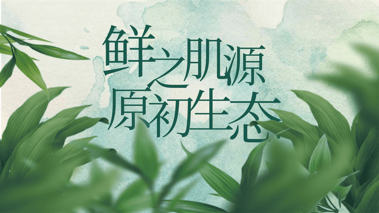 绿叶背景化妆品产品宣传介绍PPT模板