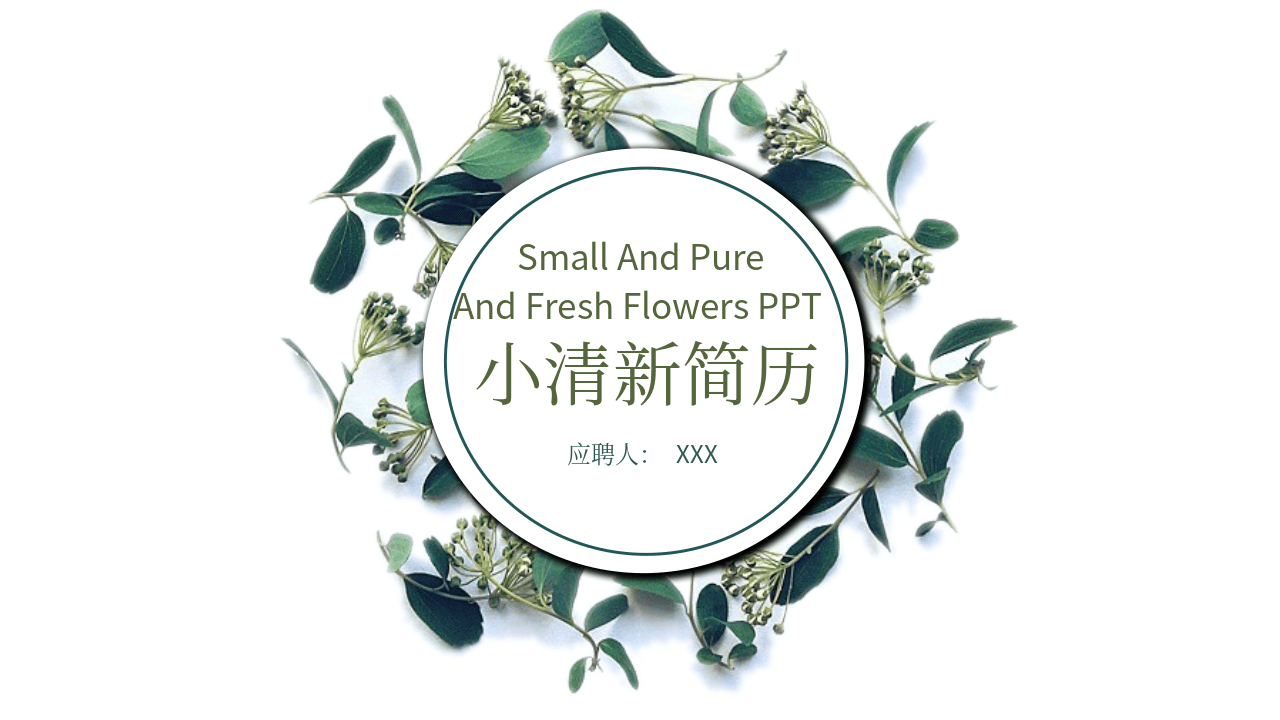 小清新简约个人简历PPT模板 第1页