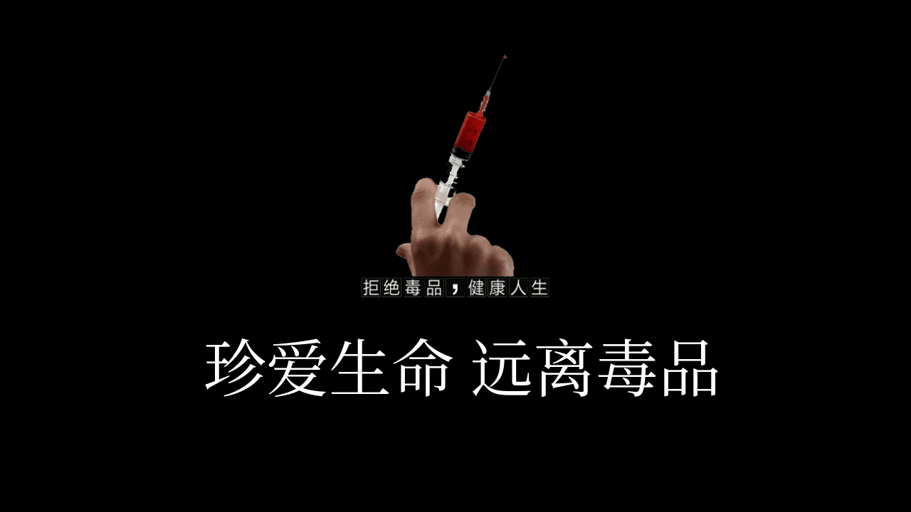 《珍爱生命远离毒品》国际禁毒日宣传教育PPT模板 第1页